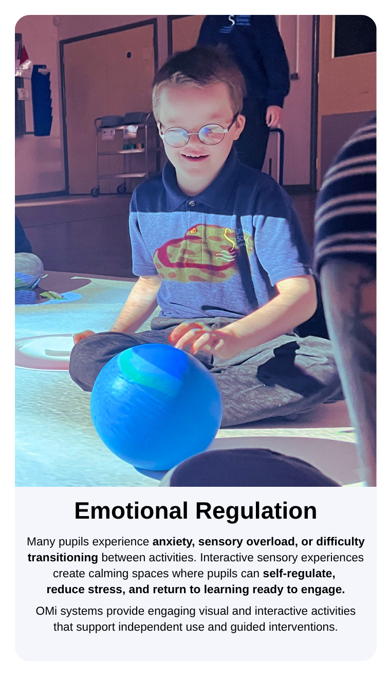 Emotional Regulation